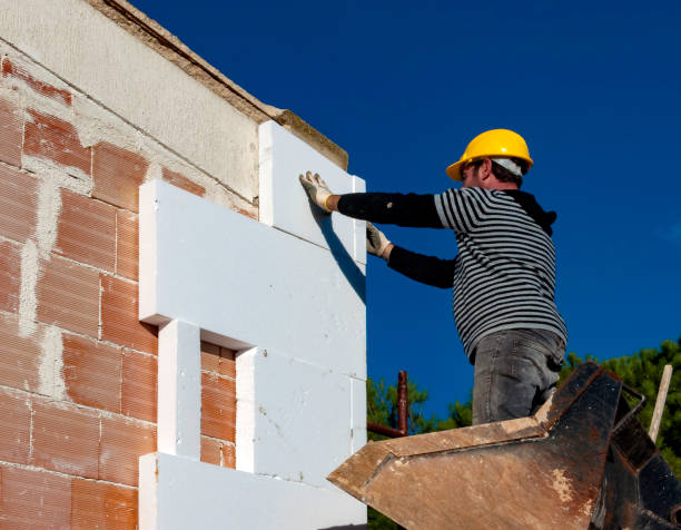 Best Insulation Installation Services in West Lealman, FL