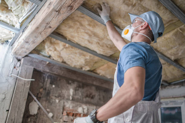  West Lealman, FL Insulation Contractor Pros