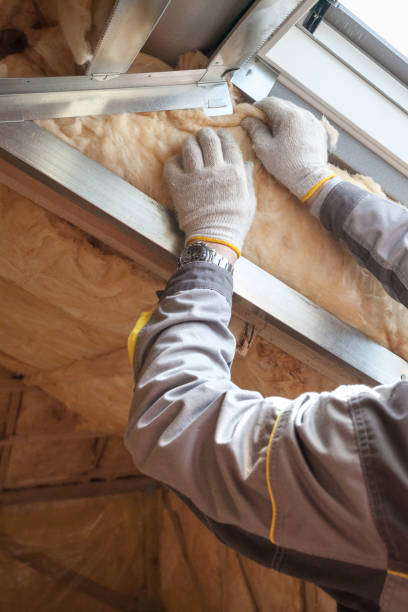 Best Types of Insulation in West Lealman, FL