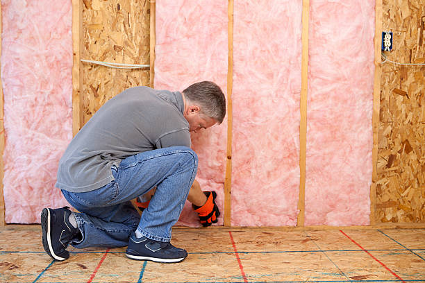 Best Commercial Insulation in West Lealman, FL